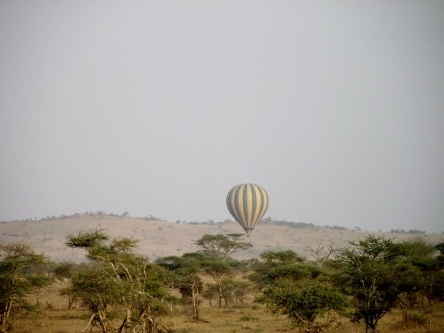 Tanzania 101